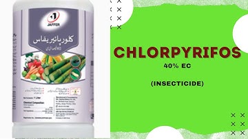 Chlorpyrifos 40 % EC Insecticide // Uses & Their Mode OF Action ( Urdu/ Hindi )