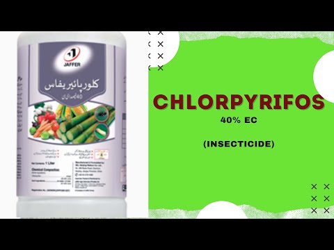 Chlorpyrifos 40 % EC Insecticide // Uses & Their Mode OF Action ( Urdu/ Hindi )