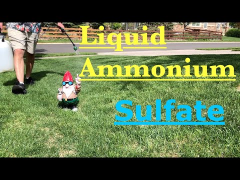 Video: Kā zālienam uzklāt amonija sulfātu?