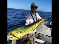 Mahi Mahi on Soft Plastics Gold Coast (we found a FAD!)