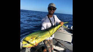 Mahi Mahi on Soft Plastics Gold Coast (we found a FAD!) screenshot 2