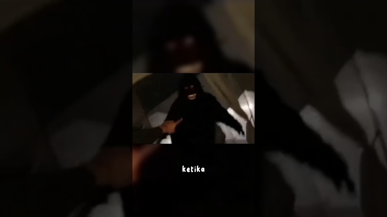 INI YANG PALING DITAKUTKAN PARA PENDAKI KETIKA CAMPING MALAM HARI👹 