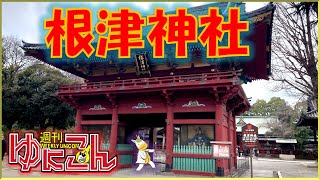 【雑談配信】週刊ゆにこん #96「ひまねづ！」【Vtuber / #ゆにこん 】