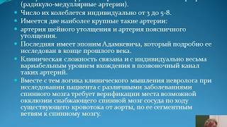 2015 Соколова Сосудистые заболевания спинного мозга