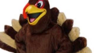 jigsaw jones mystery the wild turkey chase