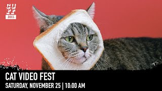 CUFF.Docs 2023 Trailer: CATVIDEOFEST