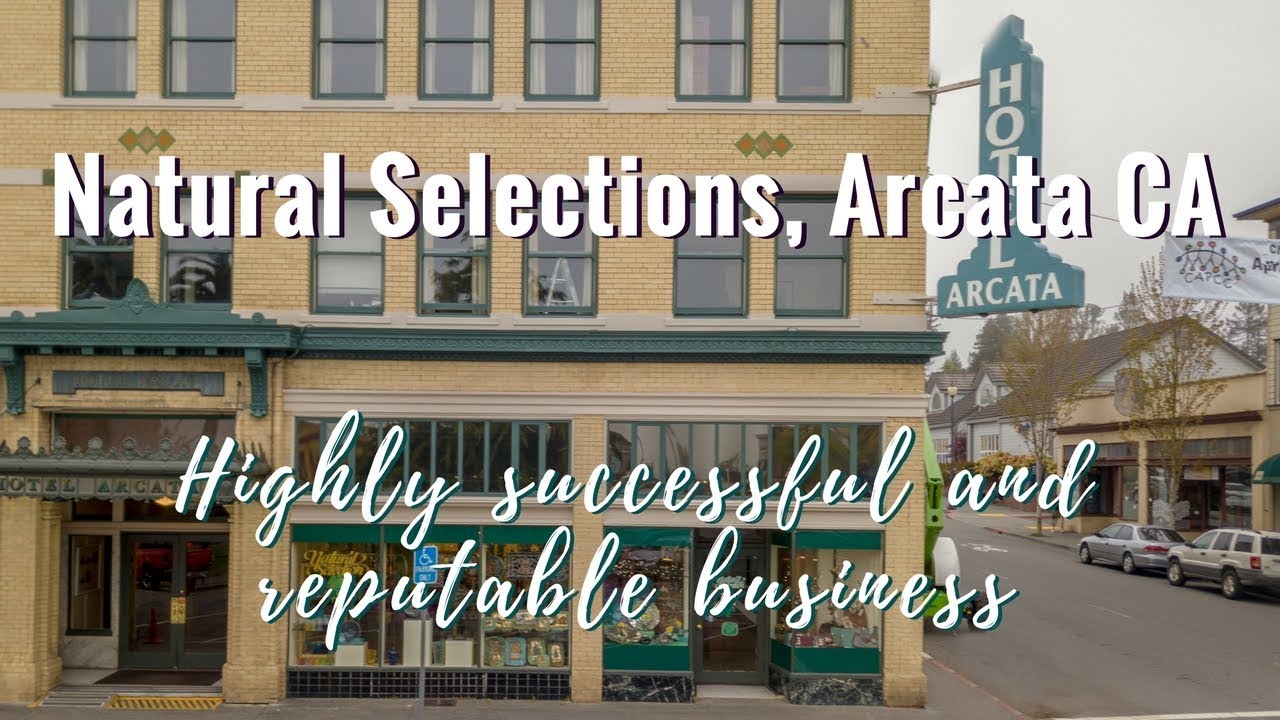 Natural Selection. Highly successful and reputable business in the