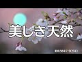 美しき天然