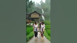 Suami Istri Berjalan Santai Saat Hujan Deras #shortvideo #shorts #rainsoundsforsleeping #rain