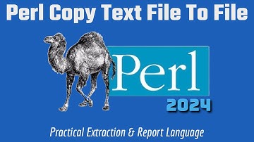 Perl Project: How To Copy Text File To File 2024
