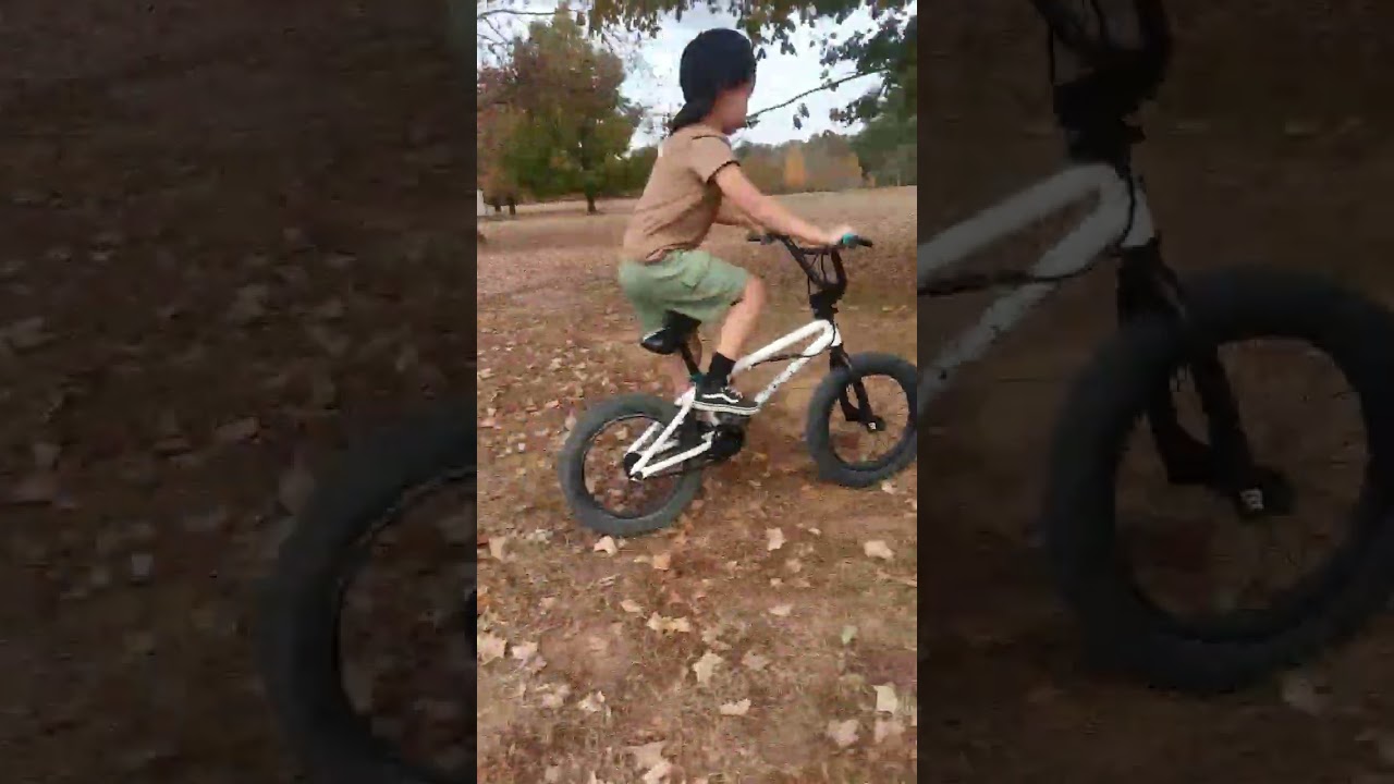 New Caiden bmx bike. Misfit.