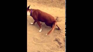 Famous #OliviaCulpo via #Snapchat (oliviaculpo) 20-01-16 Profile