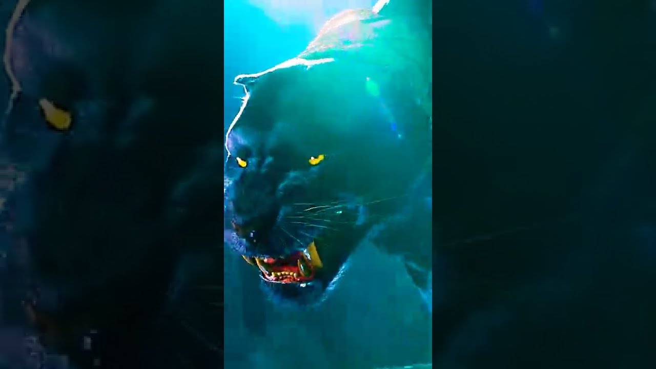 black panther angry mood scene