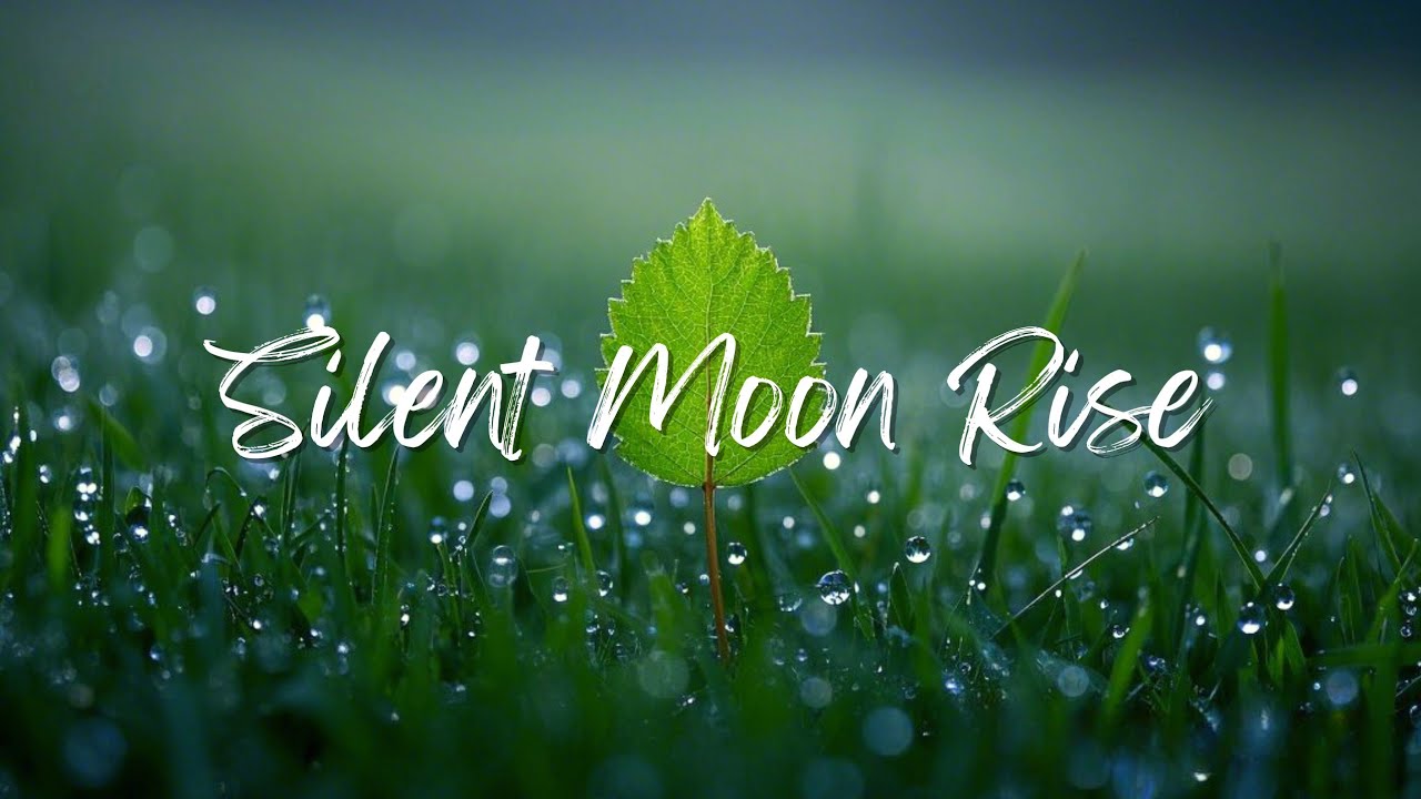 Peaceful Ambient Music for Night Relaxation, Deep Sleep, and Inner Peace