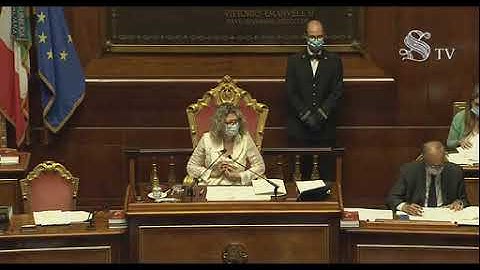 🔴 Il mio intervento in Senato relativo al Programma Nazionale di Riforma 2020