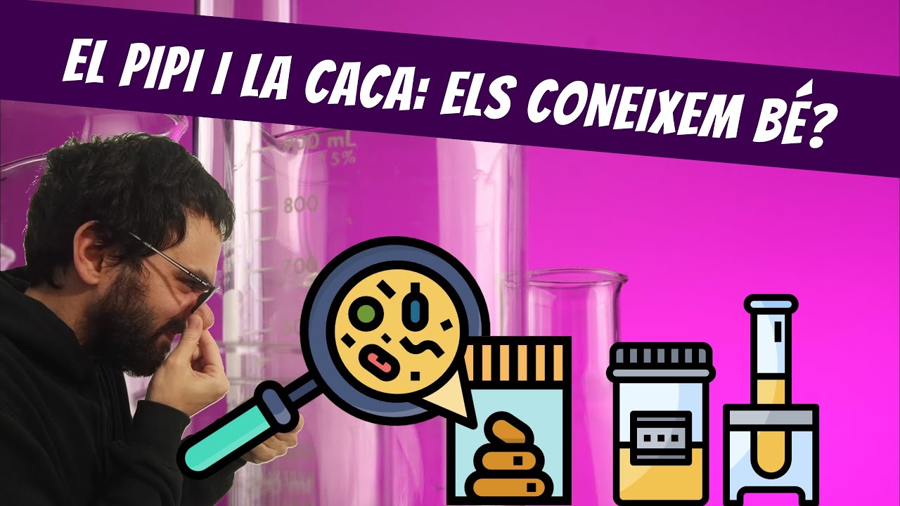 El pipi i la caca. Els coneixem bé?