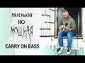 Маленькая, но мощная тревел бас-гитара Carry-On ST Bass