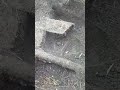 8 апреля 2023 г.