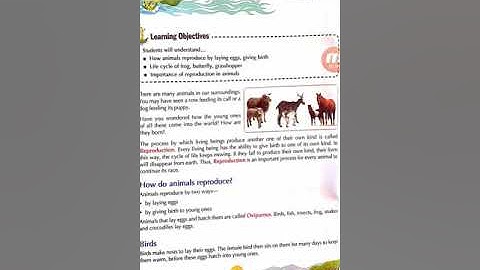 Class IV EVS 18-04-2020 by Mrs Poonam Singh