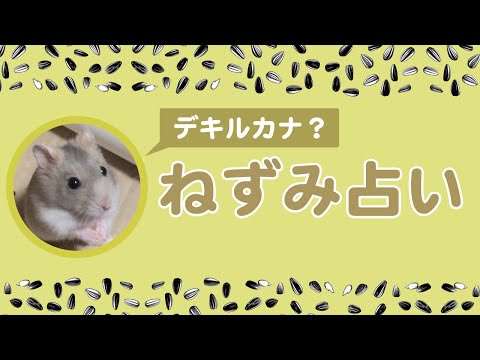 オンライン喫茶ポン「素早い動きの占い回」