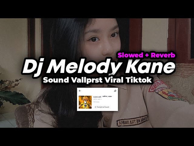 DJ MELODY KANE SOUND Vallprst (Slowed + Reverb) class=