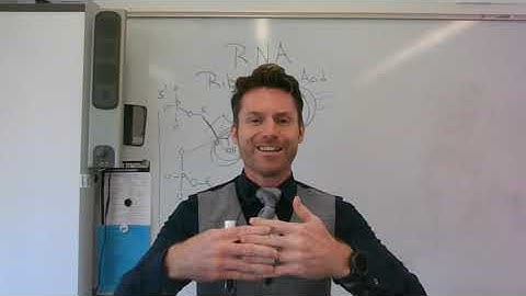 AP Biology Unit 1 Lesson 3: DNA and RNA Structure