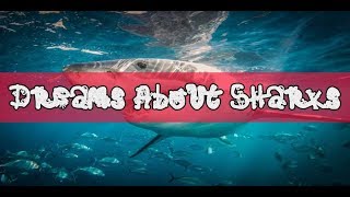 Shark Dream Meaning and Interpretation