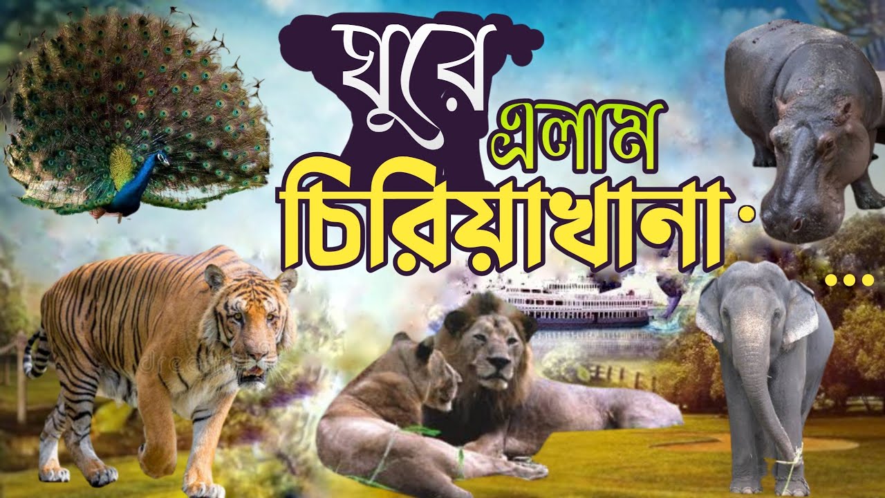 Bangladesh Rasel R বাংলাদেশ জাতীয় চিড়িয়াখানা মিরপুর । Bangladesh National Zoo | Rasel ...