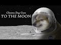 Cheems Dog Goes To The Moon