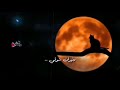 حاله واتس اب روعه للنقشبندى وليل طويييل