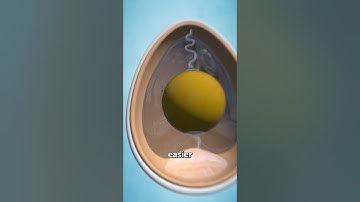 Why American Eggs Have To be Refrigerated 😬