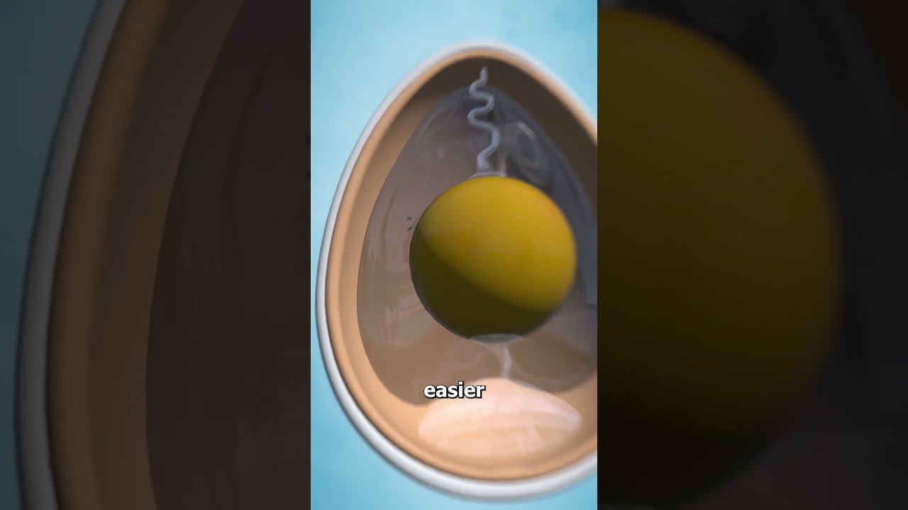 Why American Eggs Have To Be Refrigerated 