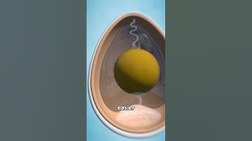 Thumbnail of Why American Eggs Have To be Refrigerated 😬