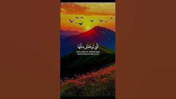 Surah Al-Fajr سوره الفجر#madina#makkah#youtube#quran#shortvideo#قرآن#share#reels#india#islam#viral#🤲