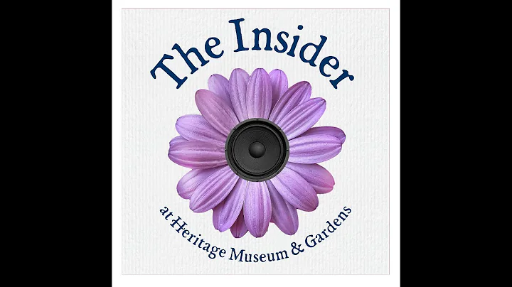 Interview with Heather Mead, Director of Visitor E...