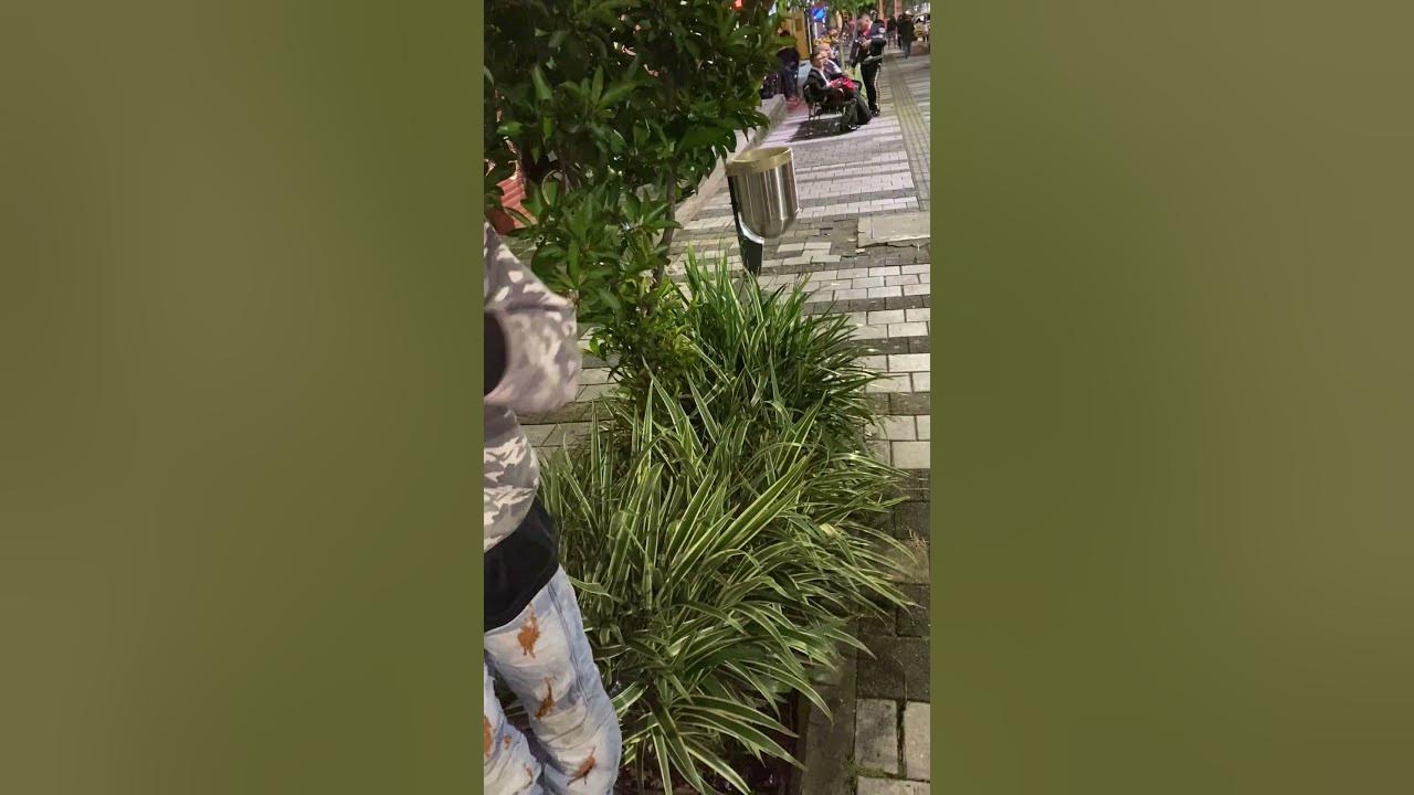 Medellin Colombia Nightlife - YouTube