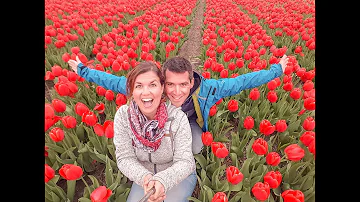 Wann ist die beste Zeit zur Tulpenblüte nach Holland zu fahren?