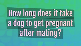 How long does it take a dog to get pregnant after mating?