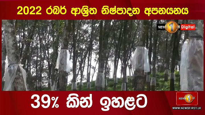 2022 රබර් ආශ්‍රිත නිෂ්පාදන අපනයනය 39% කින් ඉහළට