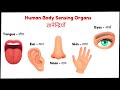 Body Sensing Organs - Skin, Eyes, Nose, Ear, Tongue ज्ञानेन्द्रियाँ - नाक, कान, आंखें, जीभ, त्वचा