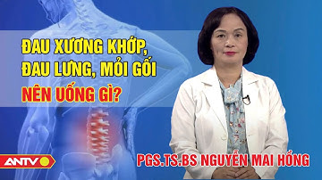 Đau xương khớp, đau lưng mỏi gối nên uống gì? 2 loại thảo dược quý nên biết | ANTV