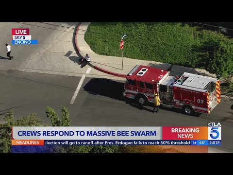 Swarm of bees closes streets in Encino; injuries reported