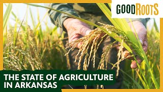 "Good Roots: The State of Agriculture 2022"