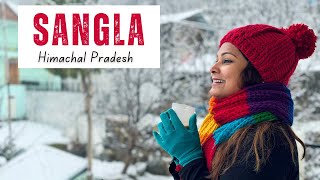 Discovered Something Unique About Sangla Valley - A Hidden Gem in Himachal | DesiGirl Traveller Vlog by DesiGirl Traveller 9,082 views 4 days ago 18 minutes