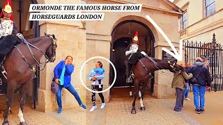 King's Horse, the Famous Ormonde, Is Back; Strikes Tourist Who Runs Away from Horse Guards in London