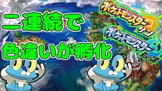 ポケモンsm 2連続で色違いケロマツが出た男の末路 国際孵化 Youtube ポケモンsm 2連続で色違いケロマツが出た男の末路 国際孵化 Youtube