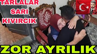 ZOR AYRILIK !!! TARLALAR SARI KIVIRCIK OLMUŞ ACİİL YUVAK ÇEKTİM~BAÇA TEMİZLİĞİ