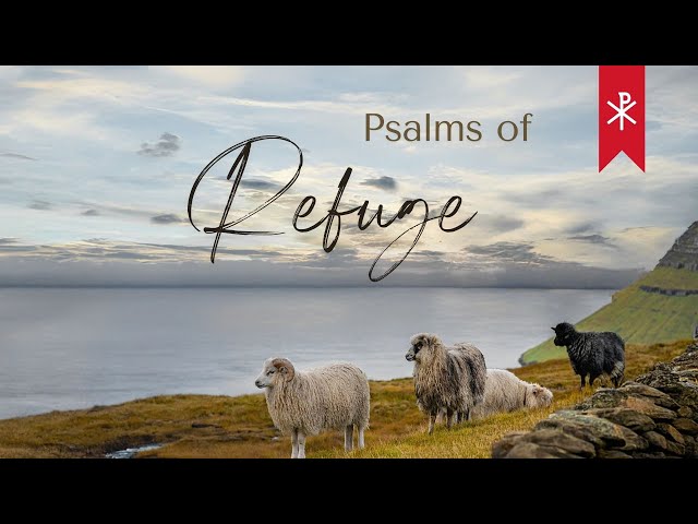 (10AM) 29 Dec 2024 // Psalm 12:1-8 // Pure Words from the Lord // Paul McIntosh