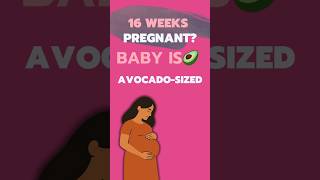 16 Weeks Pregnant Tips Every Mom Needs #pregnancy #babyflutters #secondtrimester