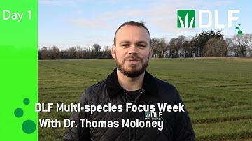 Day 1  An Introduction to Multi Species swards with DLF